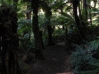 Free Image Hosting at www.ImageShack.us
