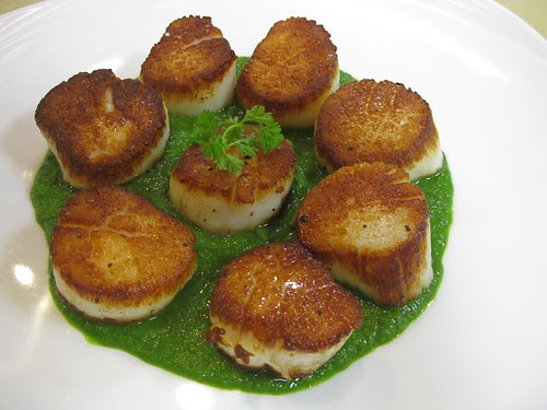 Seared Scallops w Parsley Coulis