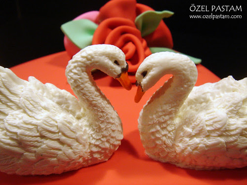 Kuğuların Aşkı Pastası