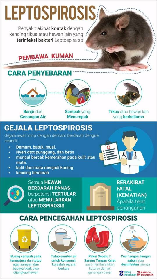 Pencegahan Virus Leptospirosis BHATARAMEDIA Pencegahan Virus Leptospirosis BHATARAMEDIA