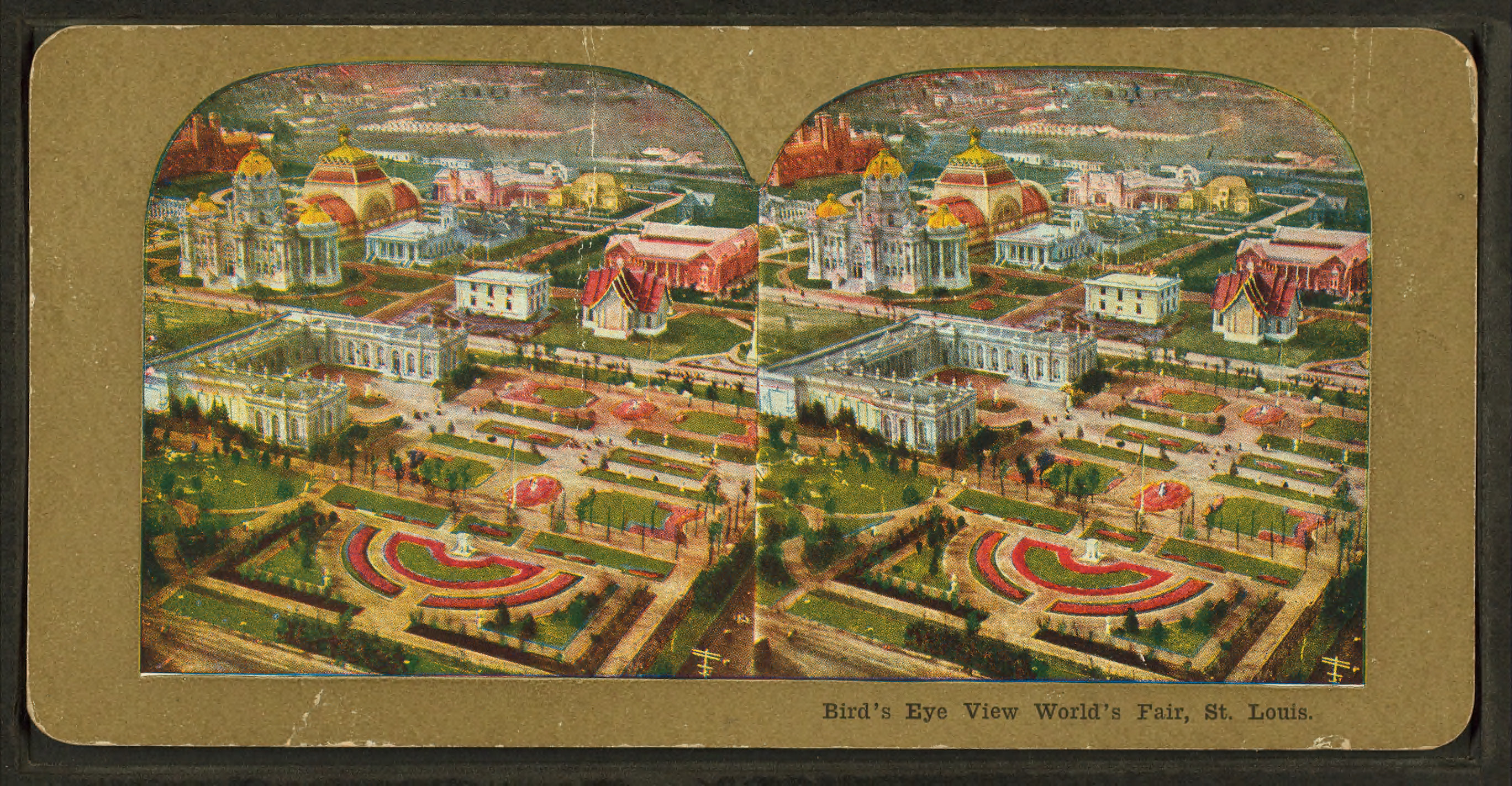 So Many Ancestors!: St. Louis World&#39;s Fair (Louisiana Purchase Exposition), 1904