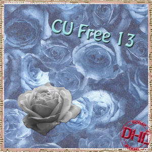 Dhl_CUfree13