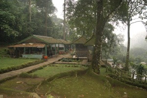 Kolam dan Warung Gonoharjo