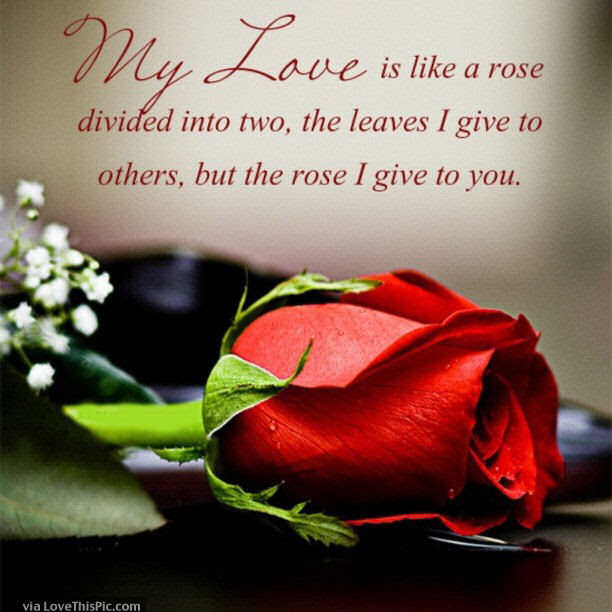 50+ Great Rose For My Love Images - work quotes