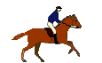 chevaux gif 020