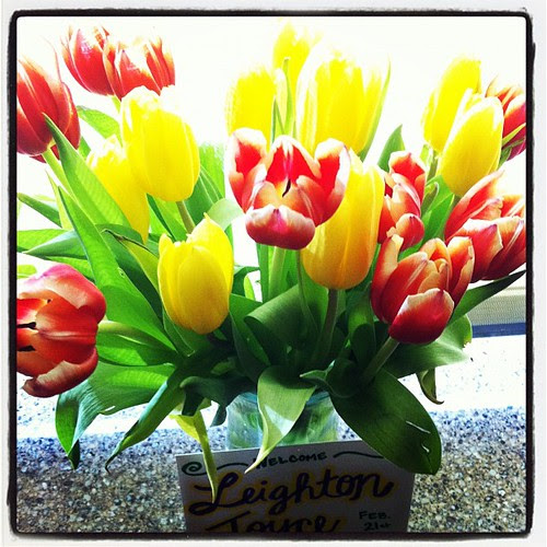 {Day 25: Green} & yellow & red #febphotoaday #catchup
