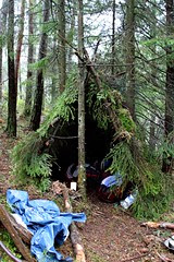 Wildernes Survival Shelter Wildernes Survival Shelter