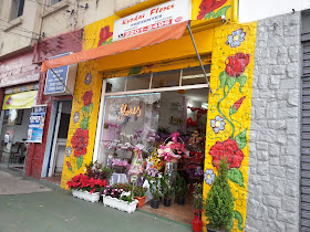 Kyodai Floricultura