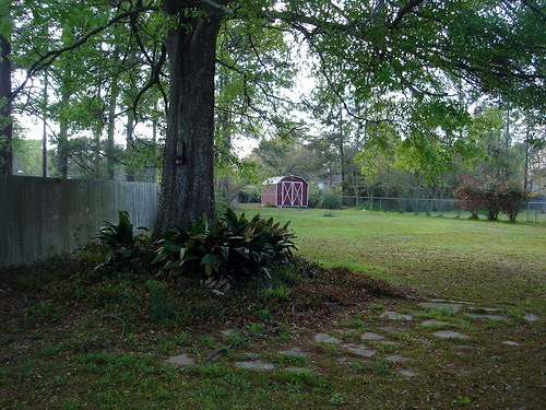 DSC04422