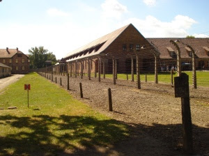 DSC07546