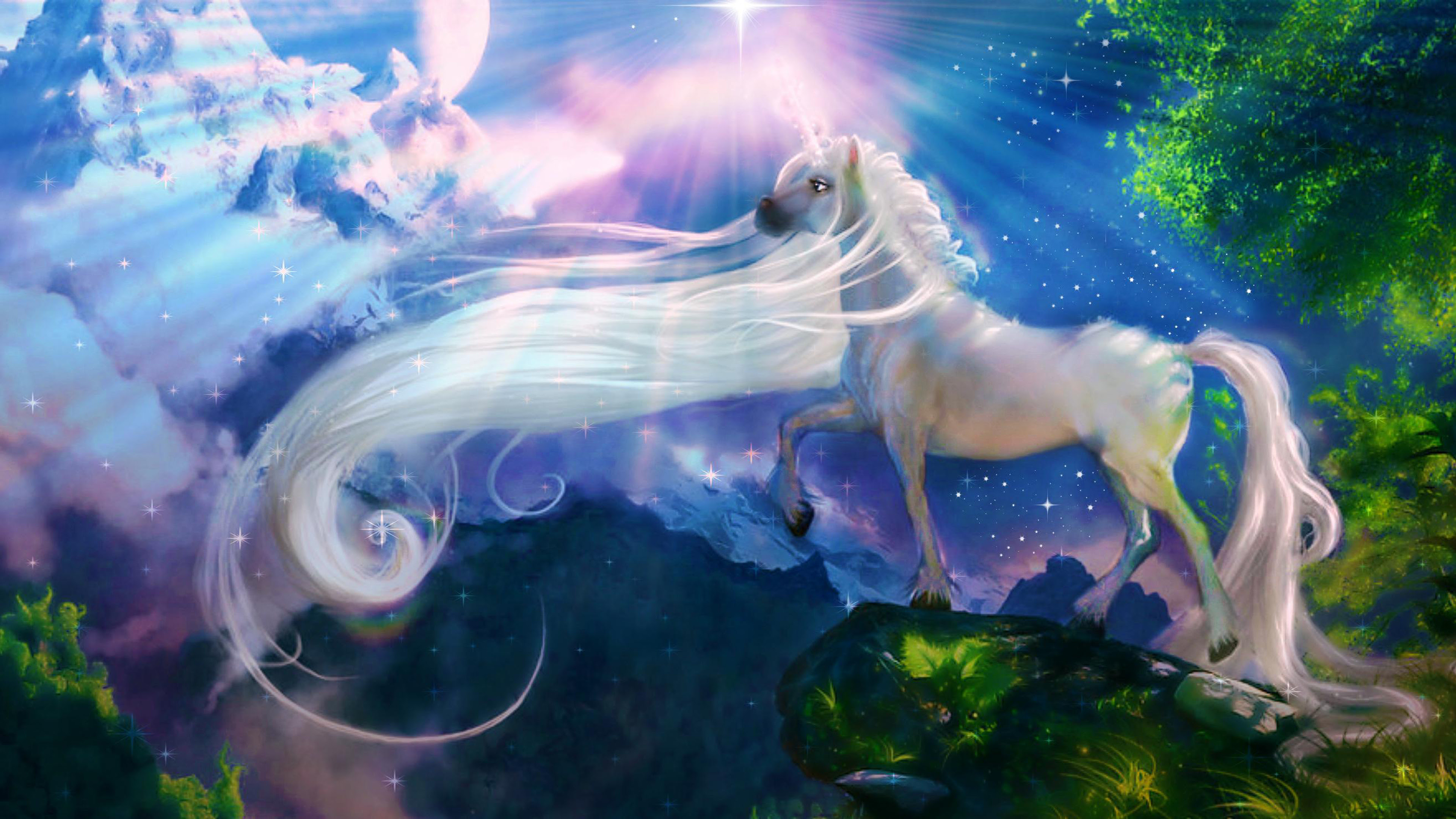 White Horse Unicorn Fantasy Art Wallpaper Hd
