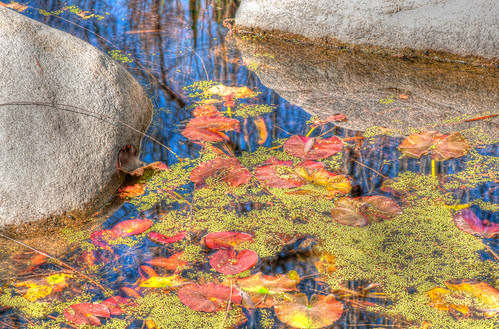 HDR of a pond