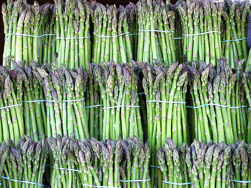 File:Asparagus image.jpg