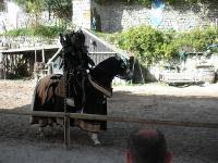 Free Image Hosting at www.ImageShack.us