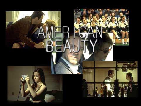 American Beauty 《美国丽人》/《美国美人》