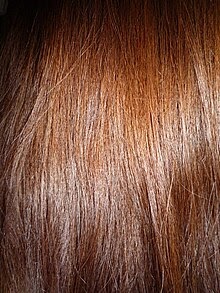 Titian Red Blonde Hair Color