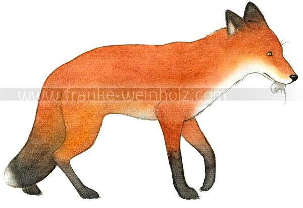 photo fuchsmitmaus_zpsa8bbf78d.jpg
