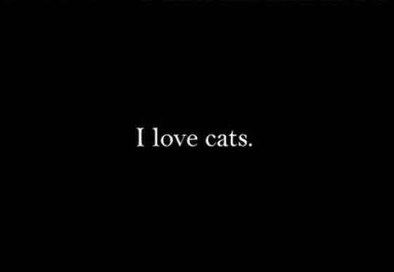 I Love Cats. Do You? (10 pics)