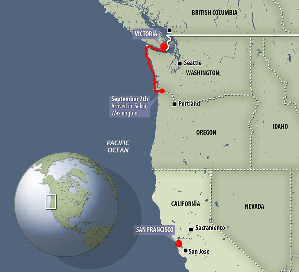 The intrepid explorer is currently three weeks into a monstrous 1,000 mile Pacific kayak expedition from Victoria, Canada, to San Francisco, California