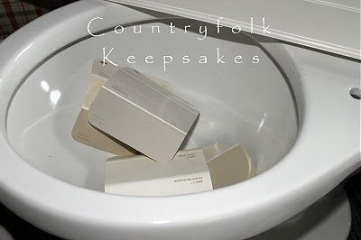 photo paintchipbowl_zps652e7c1f.jpg