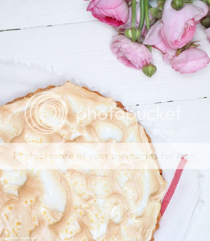 http://i402.photobucket.com/albums/pp103/Sushiina/cityglam/cityglam001/mohnkuchen5%20Kopie_zpsemkcfq2y.jpg