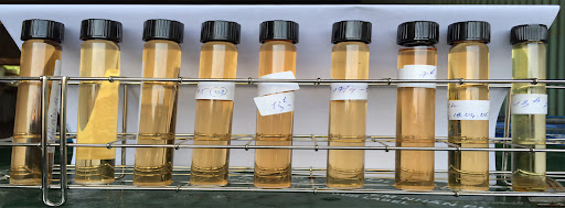 Cardanol Việt Nam