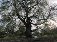 Free Image Hosting at www.ImageShack.us