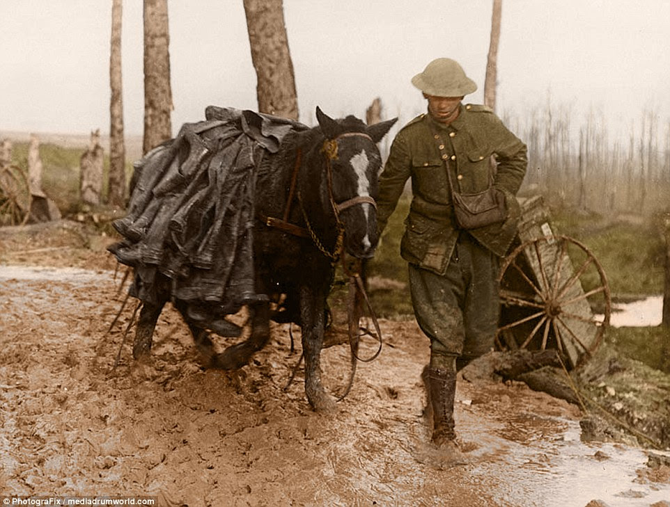 A British soldier leads a horse laden with dozens of pairs of trench boots through thick mud as the British Army continues the Somme offensive
