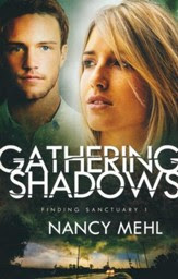 Gathering Shadows, Finding Sanctuary Series #1
