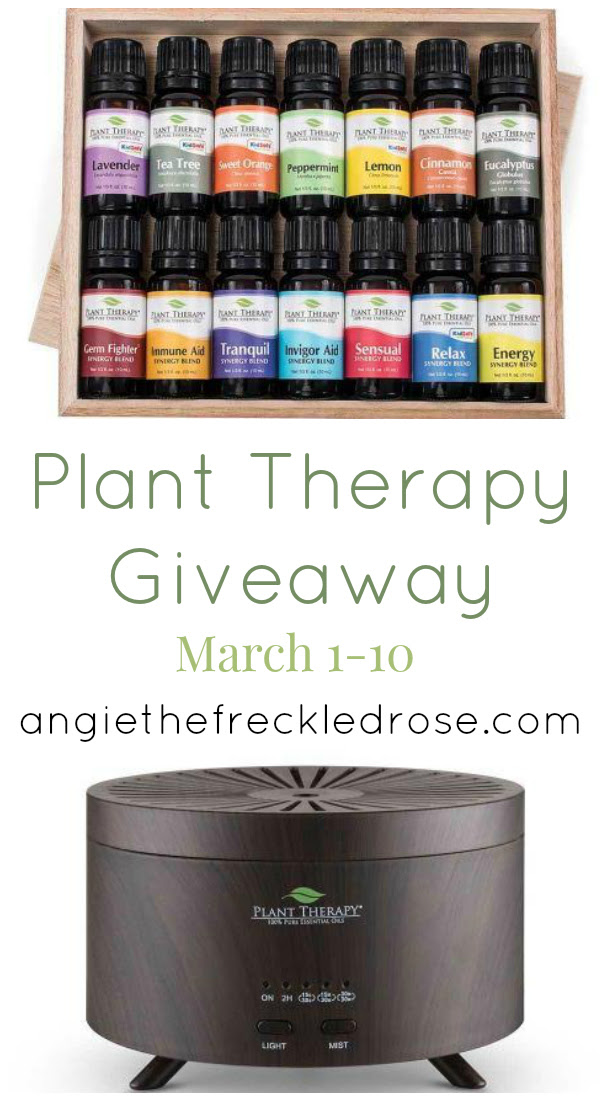 Plant Therapy Giveaway | angiethefreckledrose.com