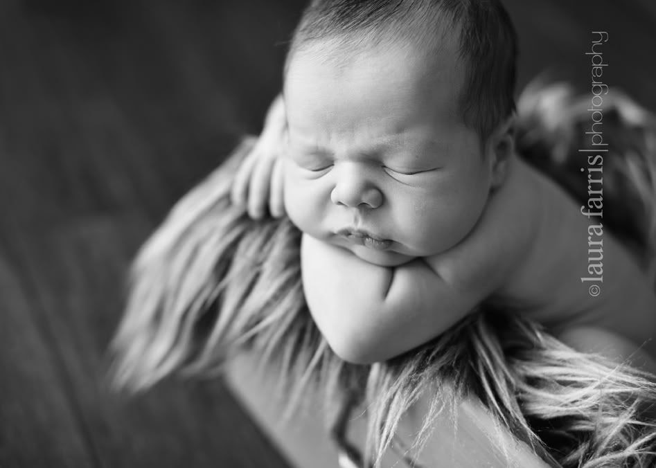 boise newborn photography