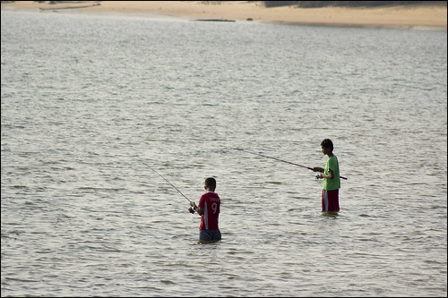 Fishing in the channel