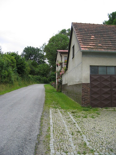 House by the road with flowers