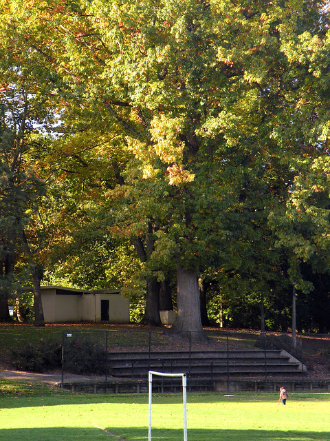 Park Trees, Bathrooms and Play Field