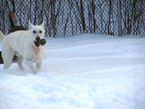 Dec. 6-first snow day