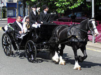 A wedding carriage in Bristol, England