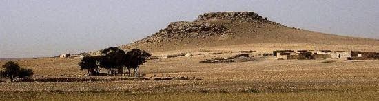 au-loin-un-groupe-maison-en-pise-c-g-lebat-c.jpg