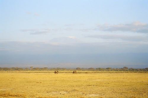 Kilimanjaro
