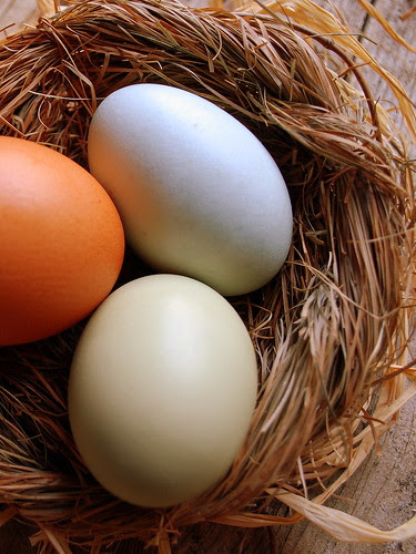 egga natural 1