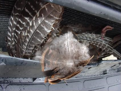 Turkey IN Van
