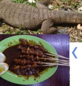 Saat ini banyak sekali kuliner yang enak dan yummy yang di hidangkan di restoran namun s Makanan Aneh yang di Anggap Menyehatkan
