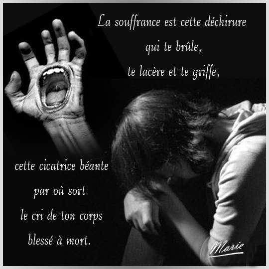 Au Pays Des Images Et Des Mots: Citation: Souffrance