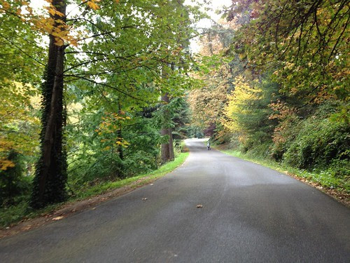 Fall Colors, Washington Park