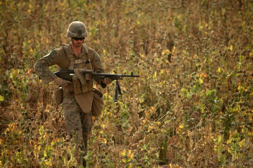 opium fields 12 1024x682 U.S. Troops Patrolling Poppy Fields In Afghanistan (Photos)