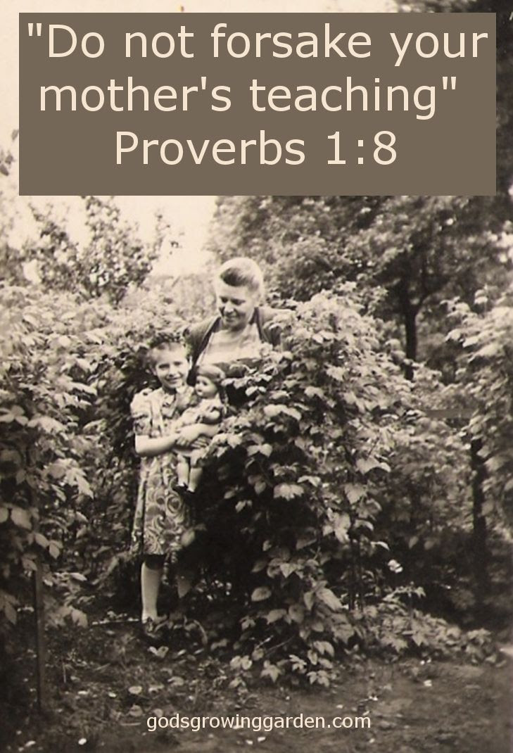 by Angie Ouellette-Tower for godsgrowinggarden.com photo SundayMom_zpsskofhte7.jpg