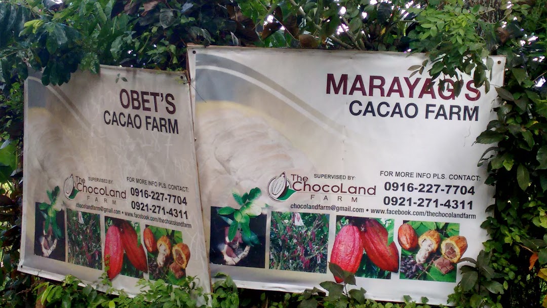 Obet & Marayags Cacao Farm