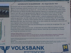 P1010391