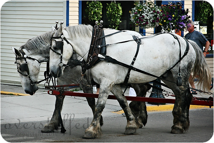 Hooves