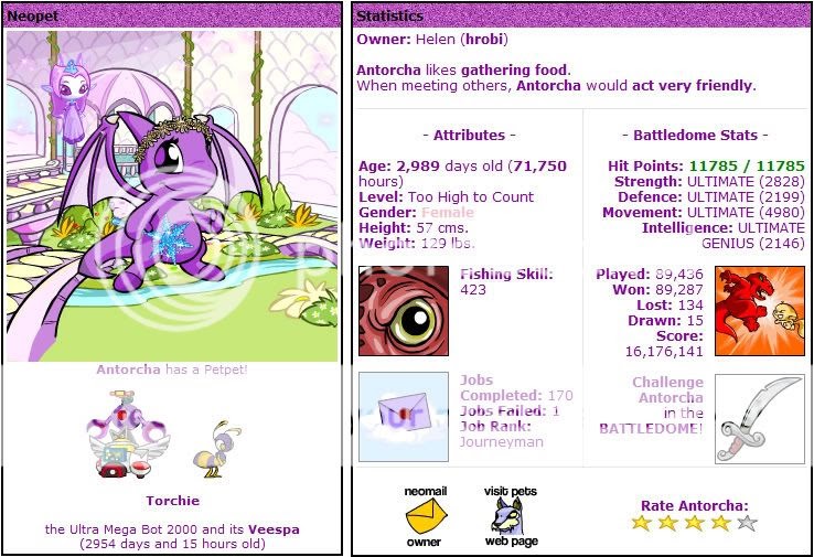 Neopets pound release