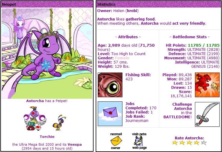 Neopets pound release